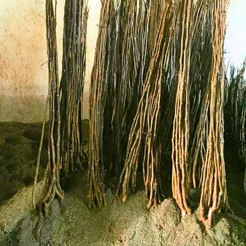 galeri gorselleri 6